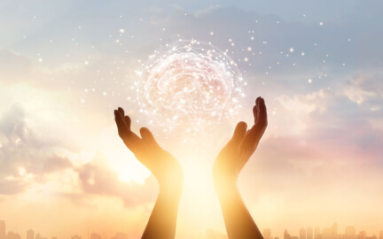 某頭部新能源車企