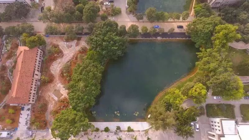 5c1c5e9eeed5f.jpg 2.jpg