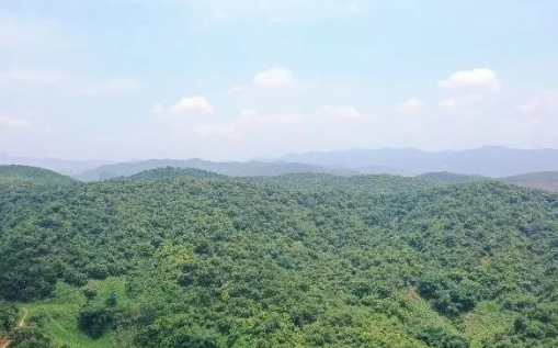 63b6467347506.png QQ截圖20230105113856.png